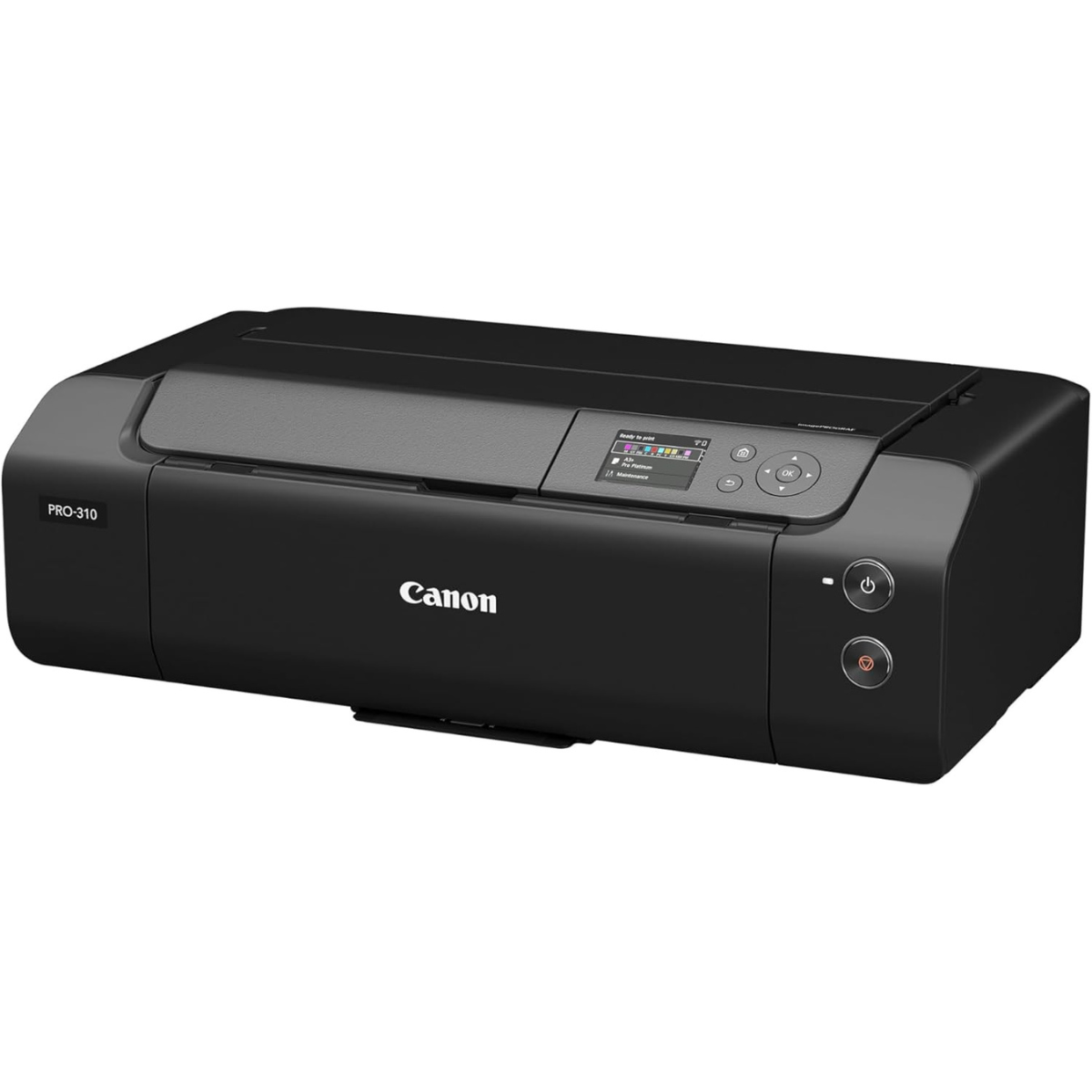 Canon imagePROGRAF PRO-310 Professional 13