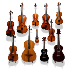 String Instruments