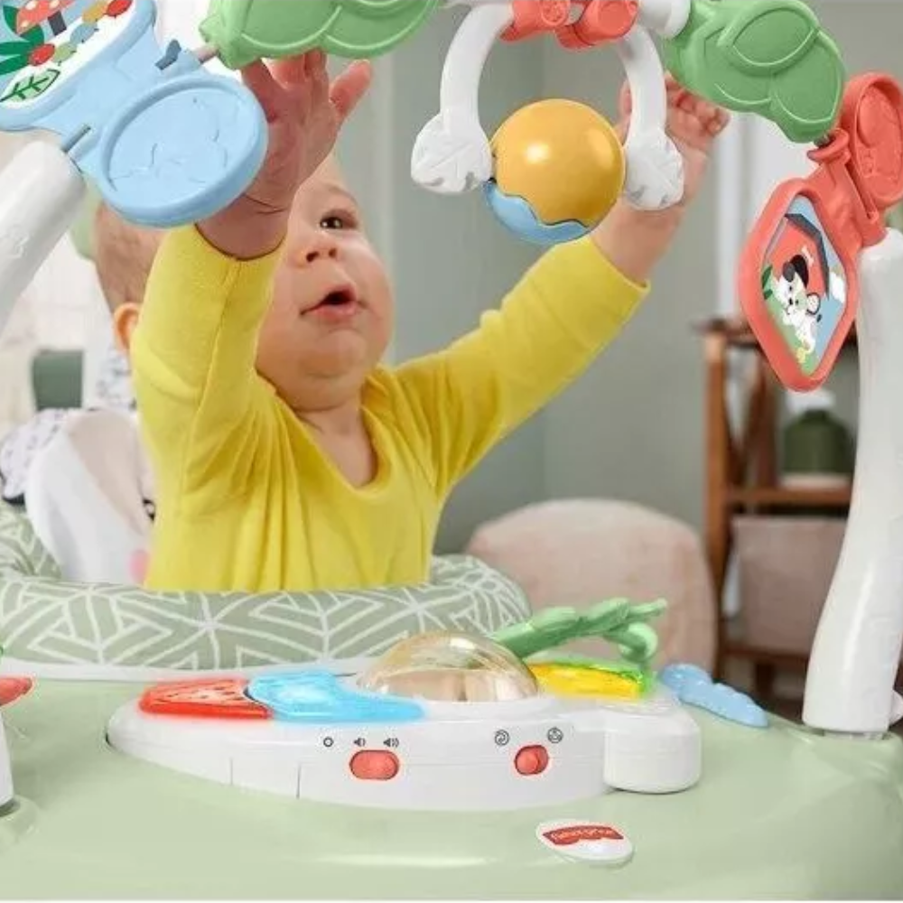 Fisher-Price Spacesaver Jumperoo Baby Bouncer Activity Center With Lights & Sounds Puppy Perfection. Get your baby’s gross motor skills moving with the Fisher-Price Puppy Perfection SpaceSaver Jumperoo! HNX64 thumbnail