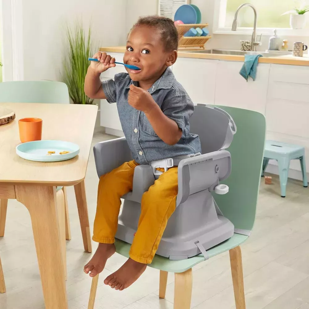 Fisher-Price SpaceSaver High Chair Berry Collection GVH09 thumbnail